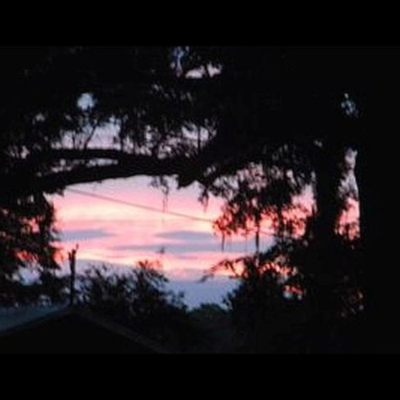 WELCOME TO MY PALACE! - Picture 4 of 4